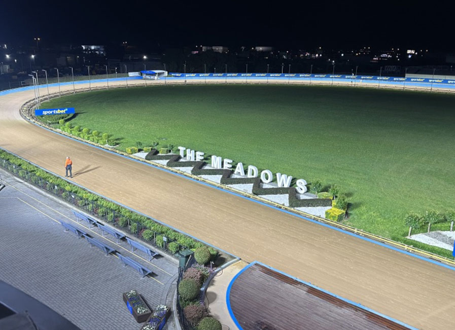 Meadows