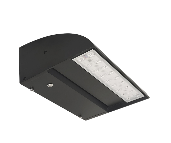 Sentry Wall Pack Powder Coating