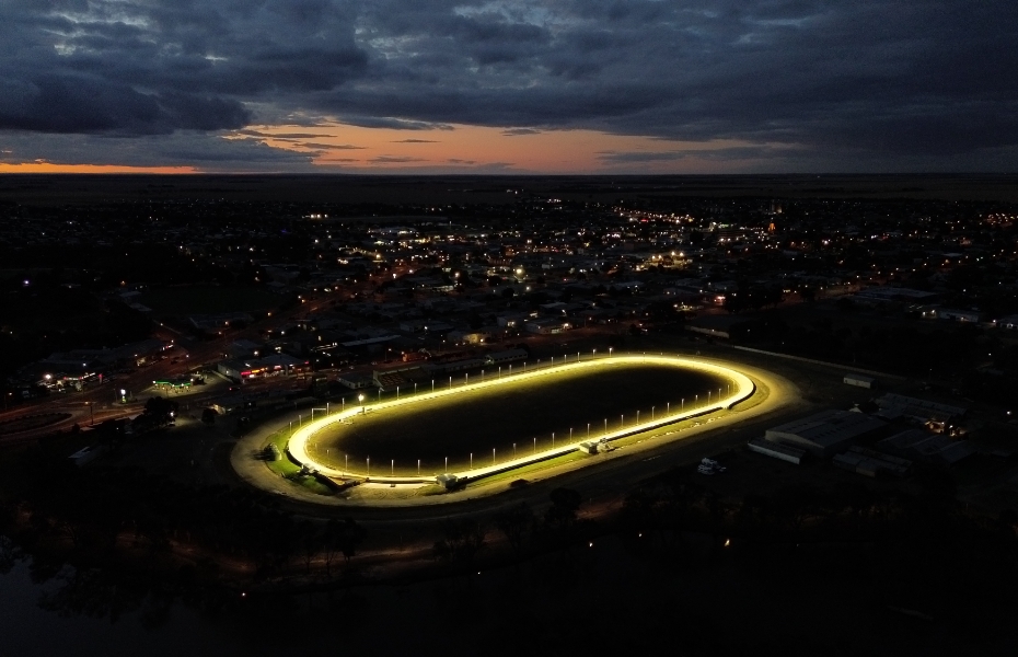 Striker Horsham Greyhound