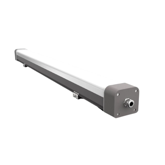 IK10_Silverback - product4