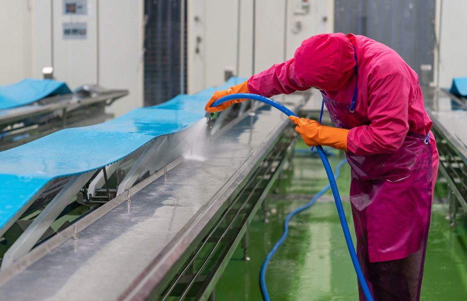 IP66 And IP69K Washdown