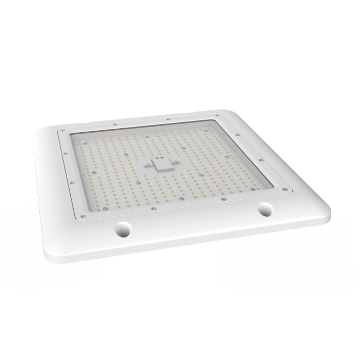 Primo Canopy Light-3 Primo Canopy Light 3