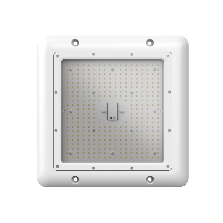 Primo Canopy Light Img Primo Canopy Light Img 1