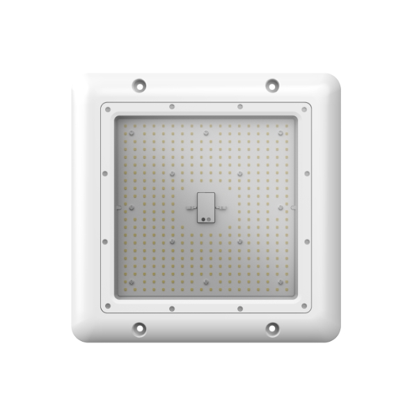 Primo Canopy Light Product 1