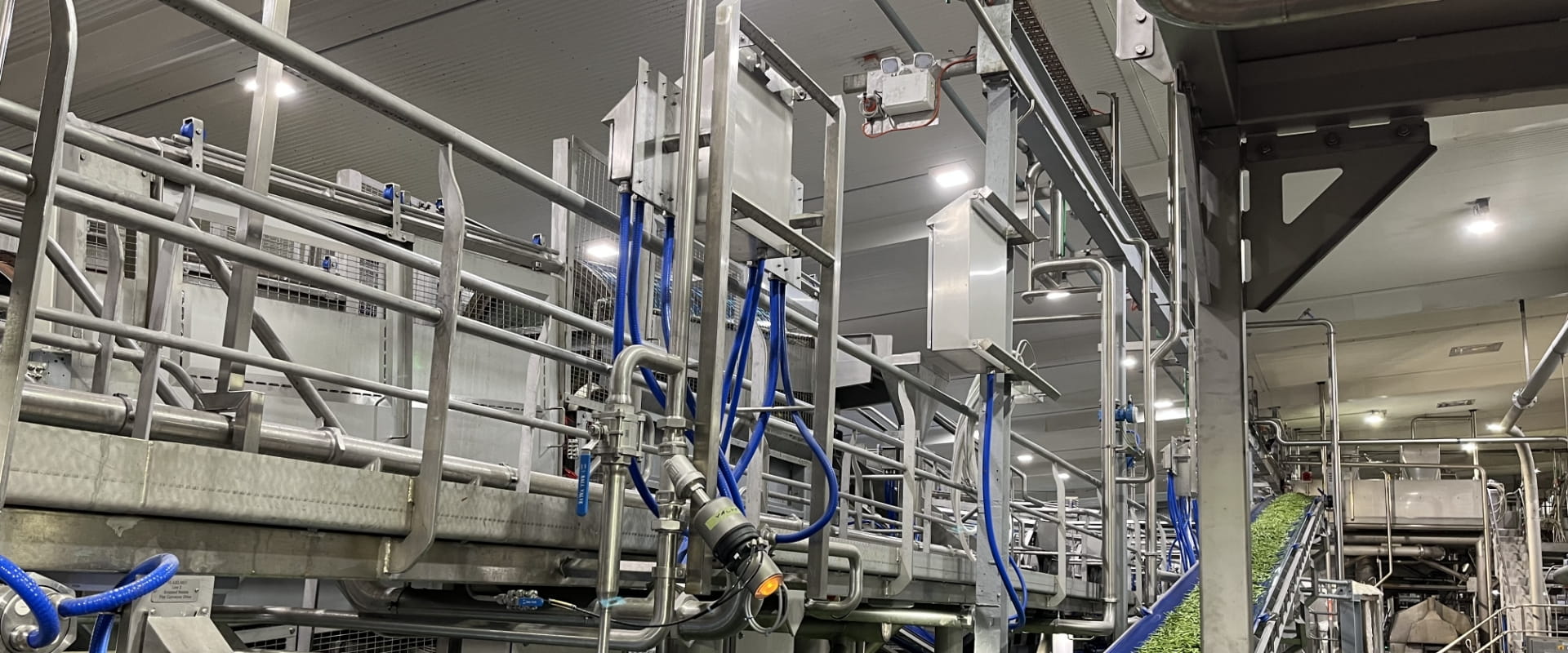 Tigerlights Food Lighting