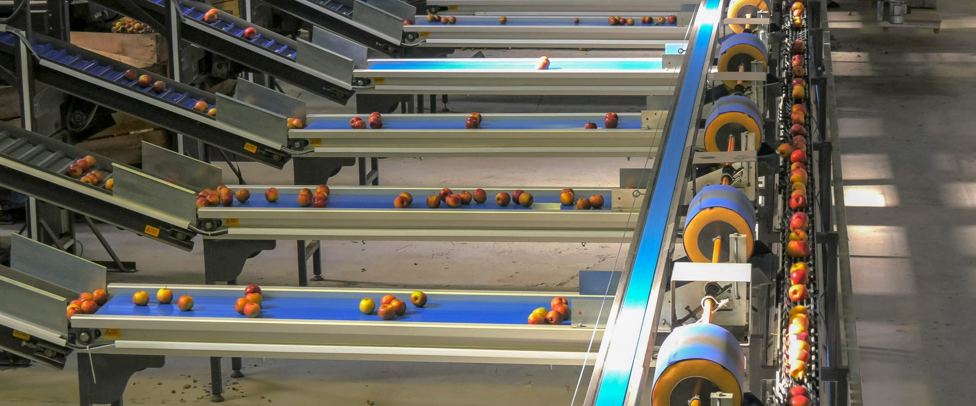 Tigerlights Food Lightings