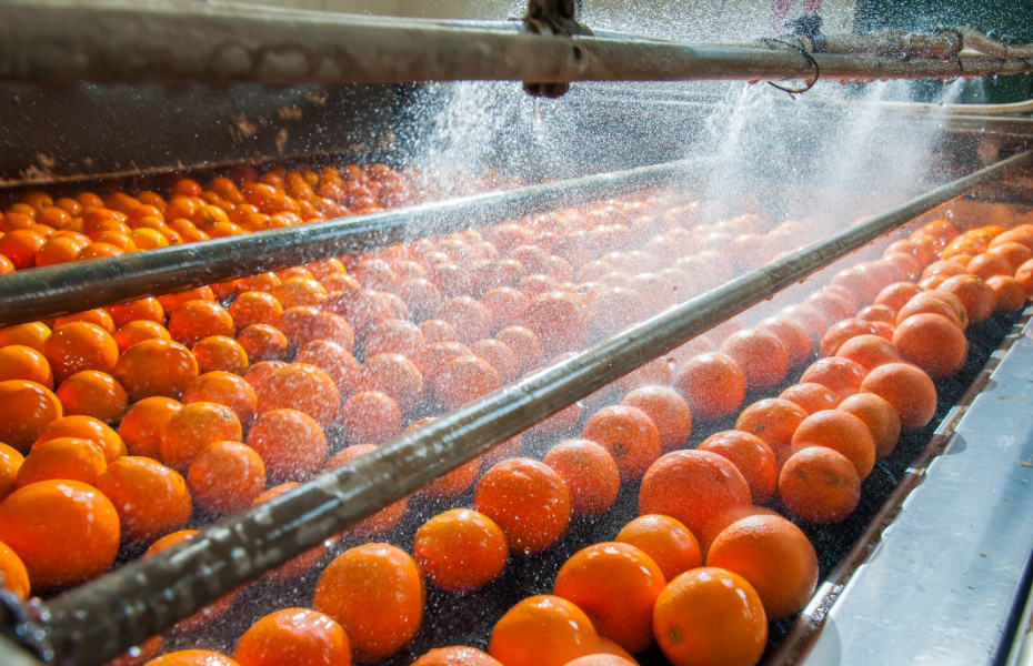 Food Premises Installations